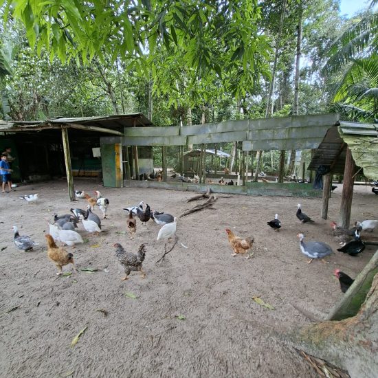 quintal1