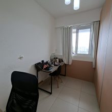semi suite 3.1